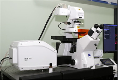 LSM900高分辨率共聚焦显微镜
