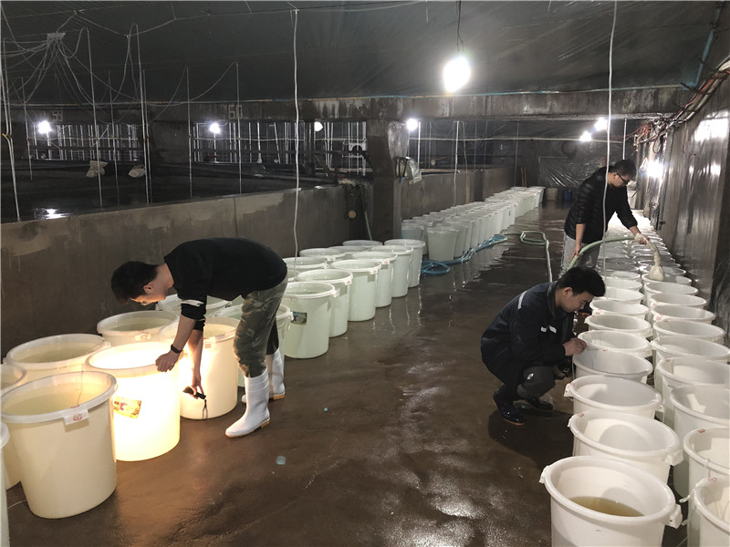 养殖车间育苗